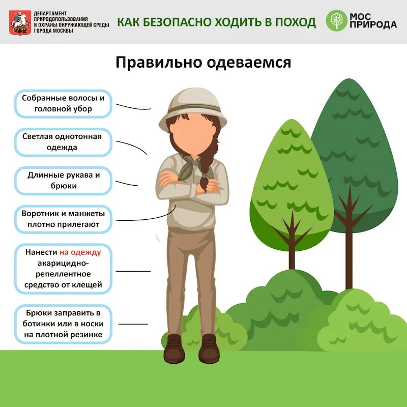 Что делать во время прогулки