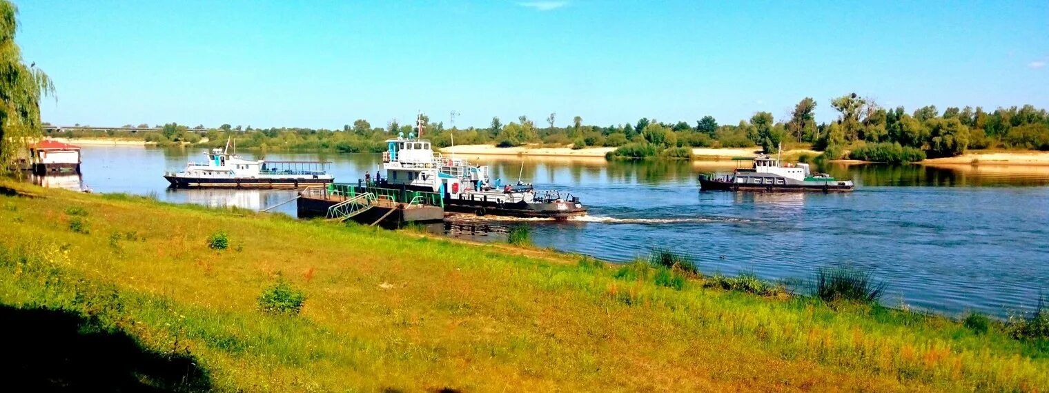 Полесские партизаны. Полесский партизан виталя последний выпуск. Полесский партизан ютуб. Военная реконструкция партизанский бой калинковичи октябрь 2021. Полесский партизан.