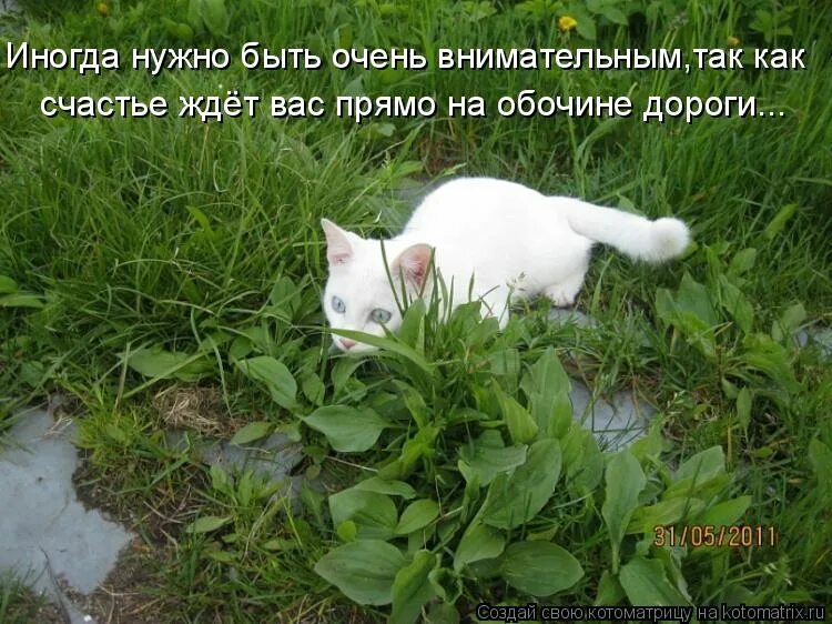 Нужно быть очень внимательным. Нужно быть очень внимательным