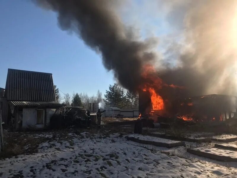 Садоводство колос. Пожар парус. Пожар садоводство. Пожар в агалатово. Пожар хозяйственной постройки.