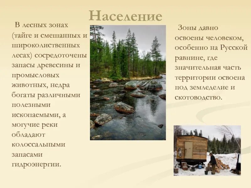 Занятия населения тайги. Население в Лесной зоне смешанных лесов и широколиственных лесов. Занятия населения в широколиственных и в смешанных лесах России. Зона смешанных лесов население.