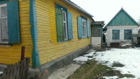 Восточный сосык староминский