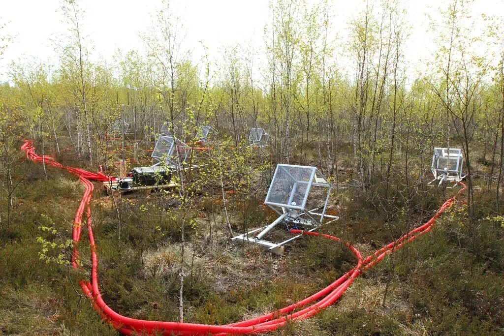 Строение полигона. Система мониторинга полигона. Система мониторинга полигона. Наблюдение на базовых станциях экологического мониторинга. Мониторинг объектов размещения отходов.