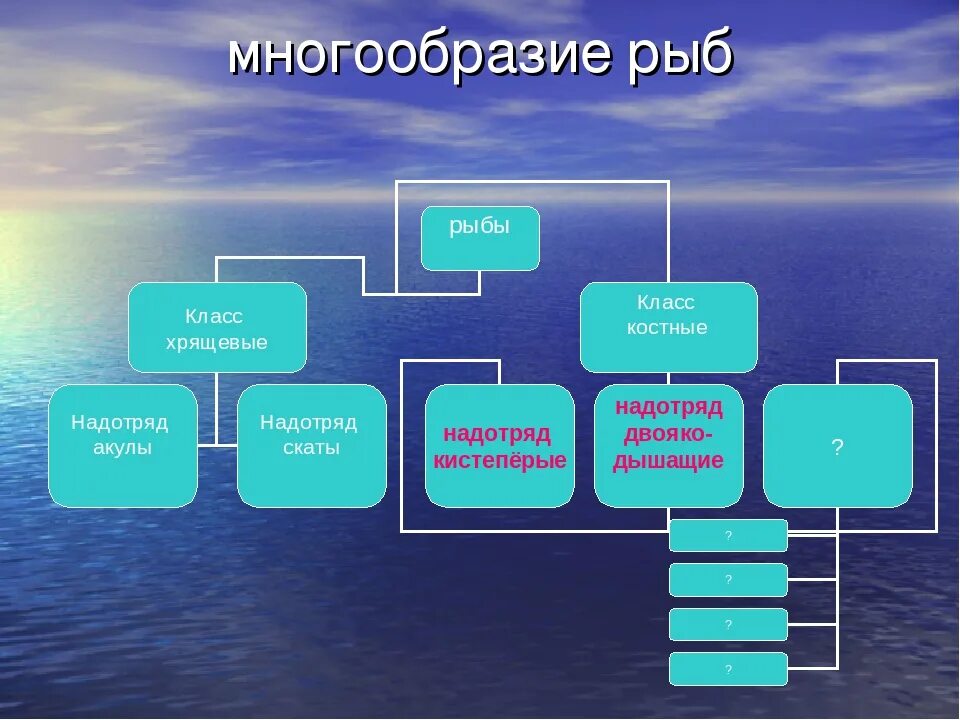 Многообразие рыб 7 класс