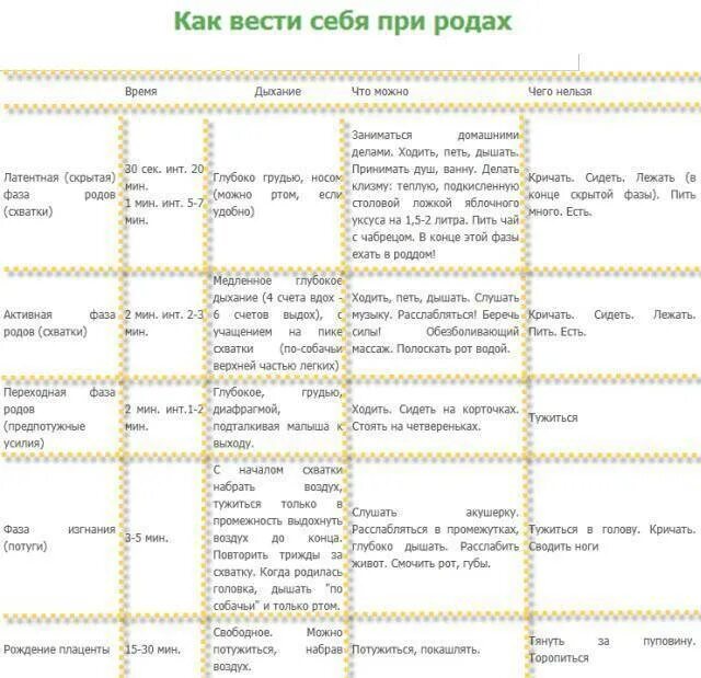 Отходит пробка у беременных у первородящих. Отхождение вод перед родами у первородящих. Количество вод отходящих перед родами. Схватки при беременности перед родами.