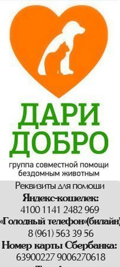 Дари добро помощь бездомным животным г унеча. Дари добро. дарить добро. приют дари добро киров.
