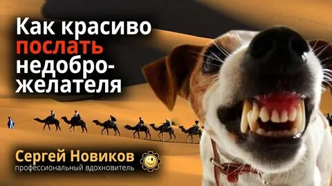 Лай мосек