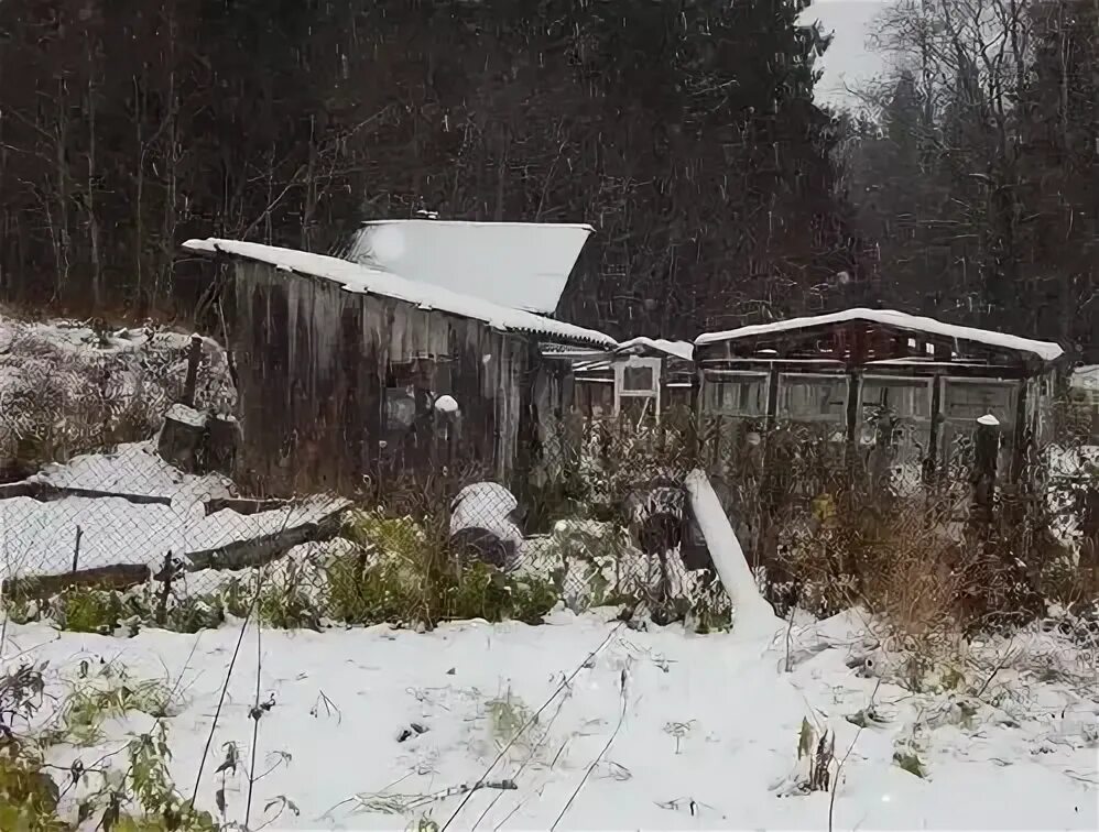 Солнечный сортавала. Кааламское сельское поселение Сортавала. СНТ солнечное Сортавала.