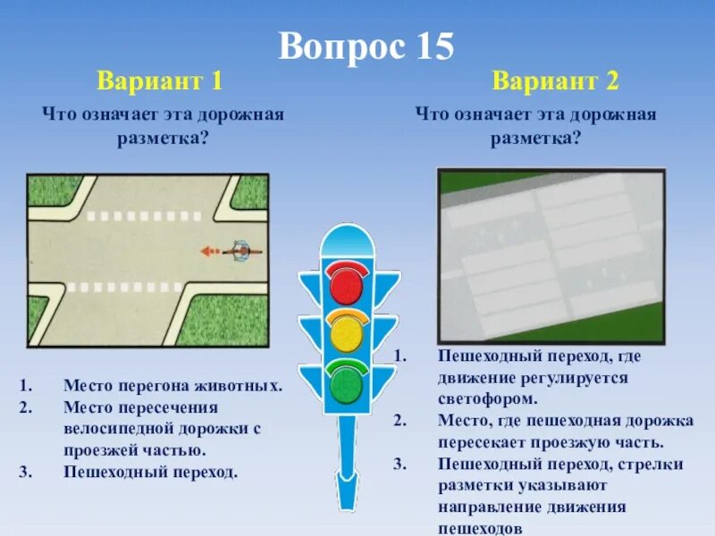 Обозначение линий на дороге. Разметка по ПДД. Дорожная разметка ПДД. Разметка велосипедной дорожки на проезжей части. Место перегона животных дорожная разметка.