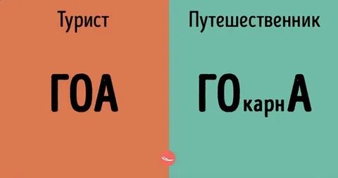 Отличие туриста от экскурсанта