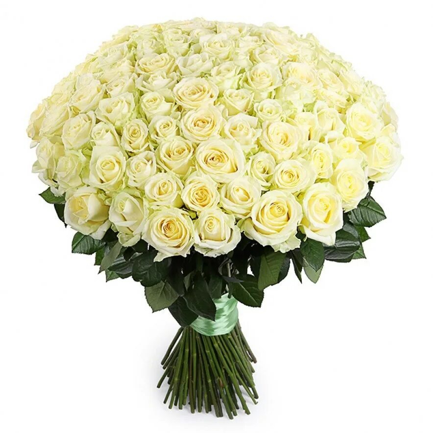 Цветы букет роз купить. Розы Мондиаль белые букет.
