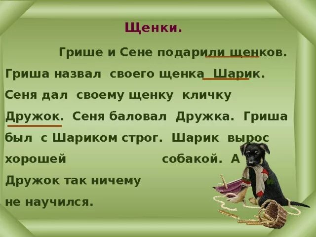 Щенку дали кличку. Щенку дали кличку