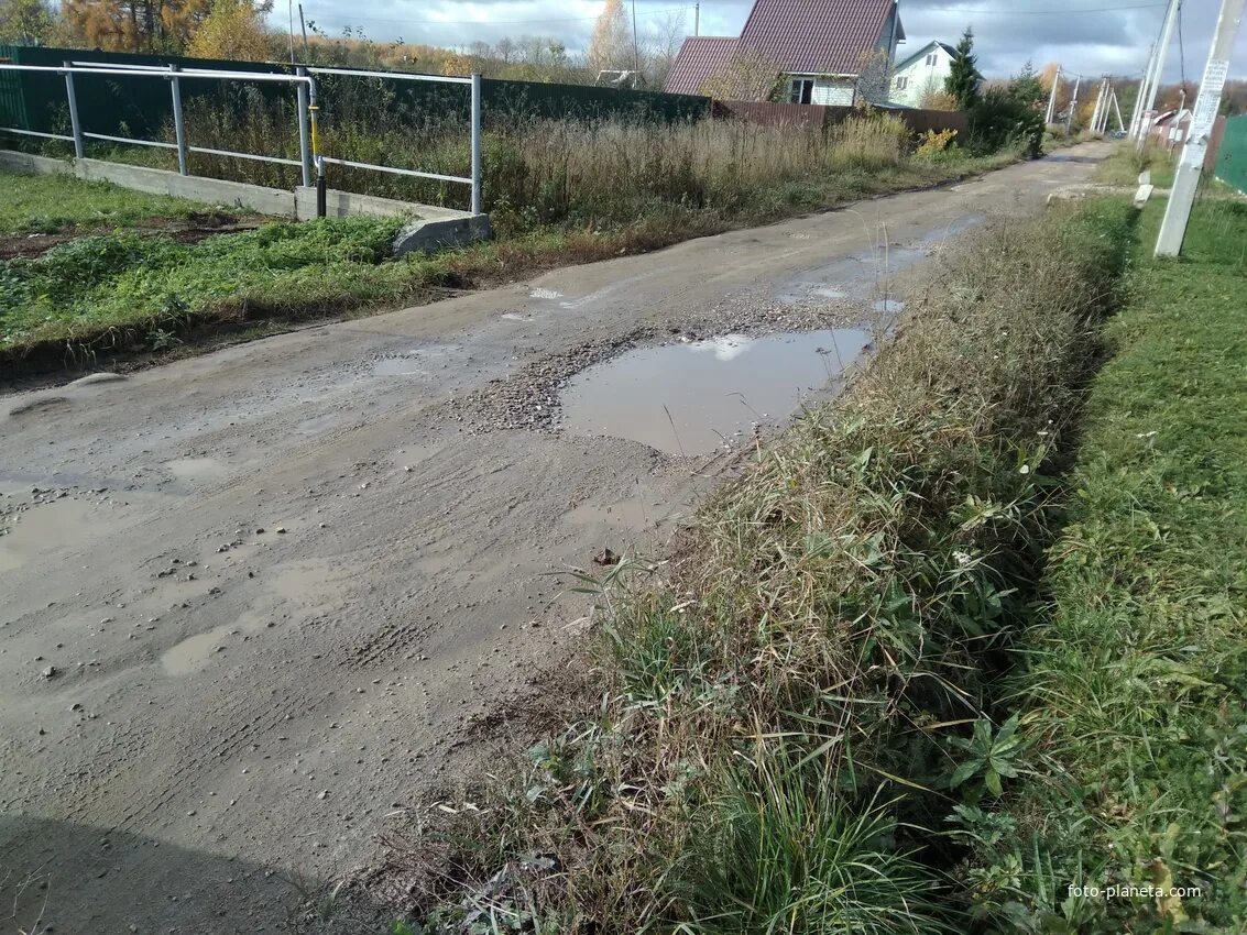 Прогноз губкин богородицкое. Прогноз губкин богородицкое