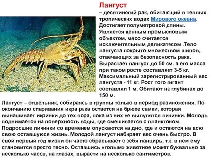 У какого человека рак рака