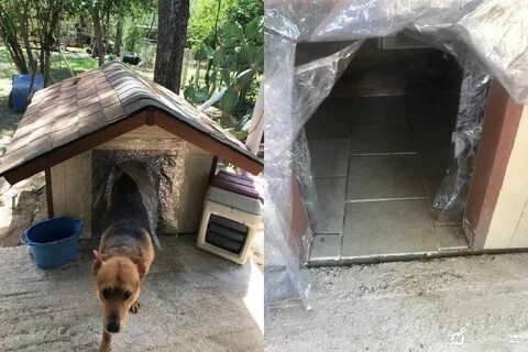 Пол в собачьей будке