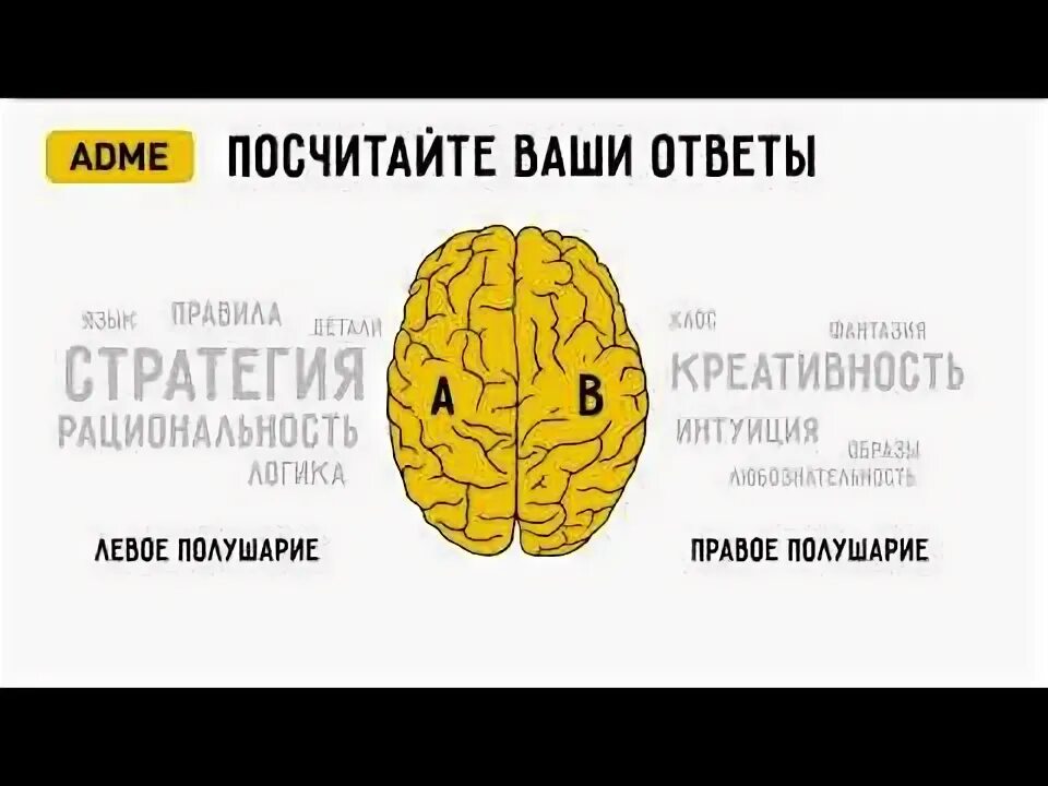 Как узнать какое полушарие. Тест на полушария мозга. левое полушарие мозга доминирует. тест на правое и левое полушарие мозга. тест на ведущее полушарие мозга.