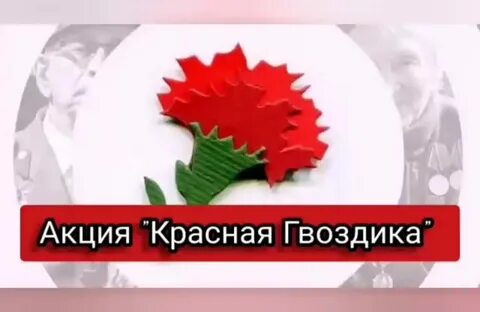 Красная гвоздика телефон