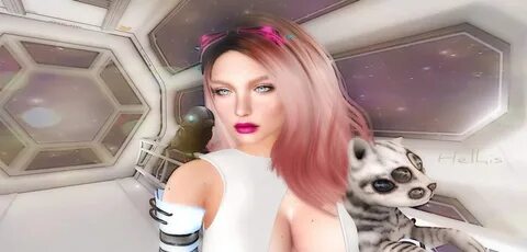 SL Treasure: Space cat petting / Calin félin dans l'espace