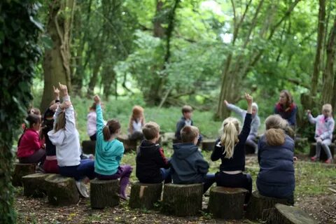 Forest school