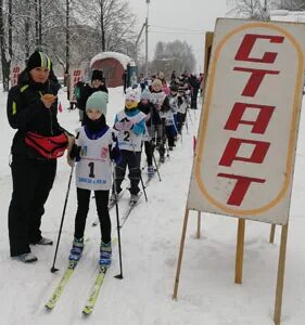 Спортивная школа сыктывкар