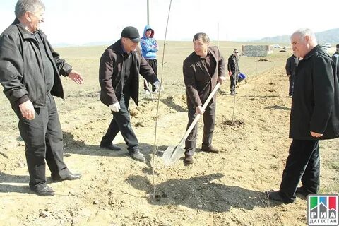 Уллубийаул