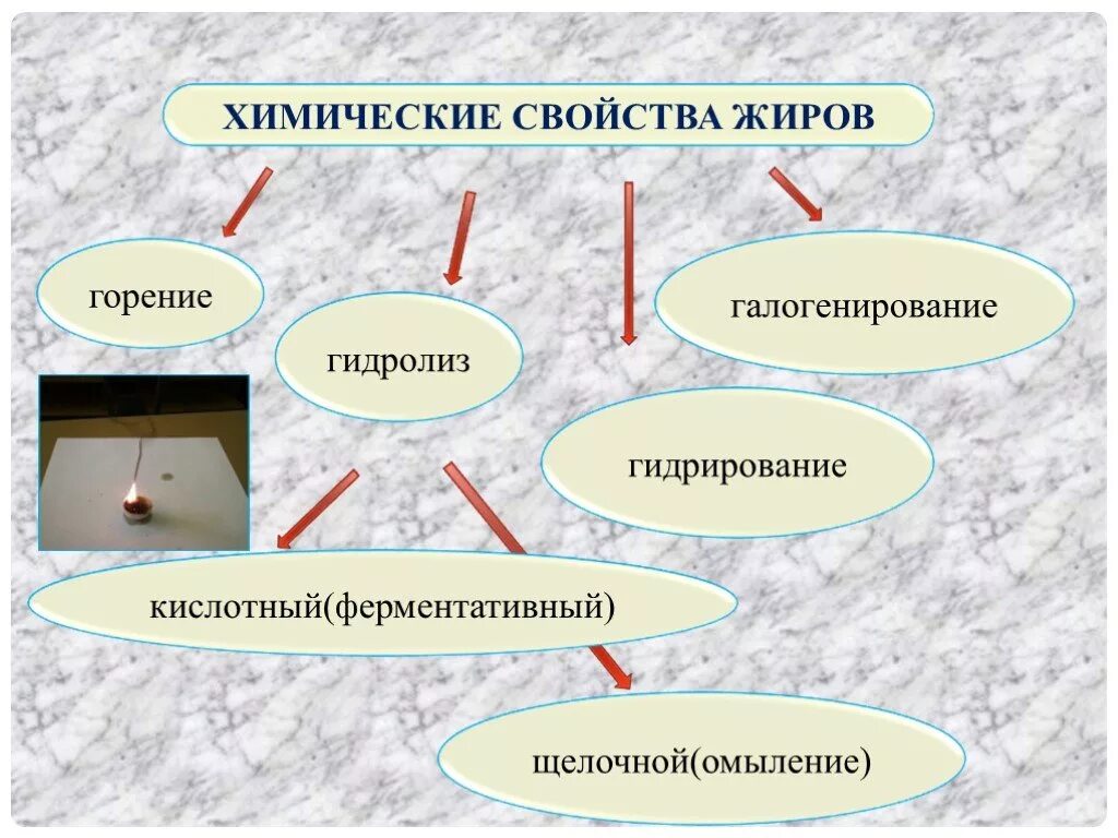 Свойства жиров гидролиз. Жиры химия свойства. История изучения жиров. Химические свойства жиров. Химические свойства жиров горение.