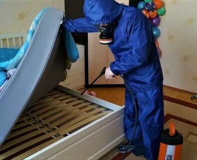 Клопы в квартире сэс