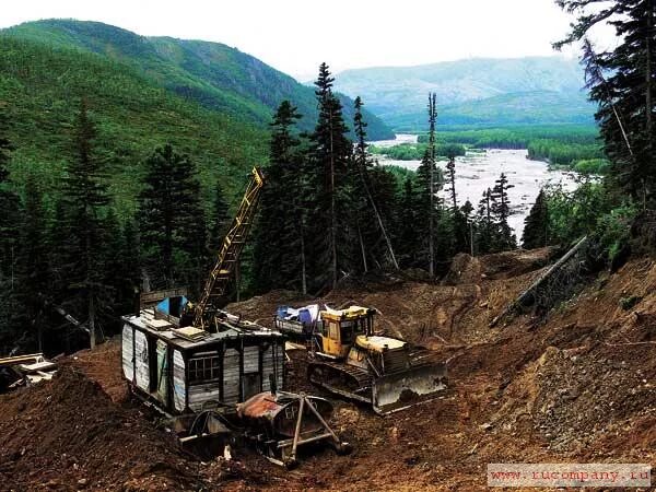 Артели хабаровск. ООО Артель старателей Хакасия. Артель старателей Хакасия Тюхтерек. ЗАО Артель старателей Витим. Артель старателей Бриндакит.