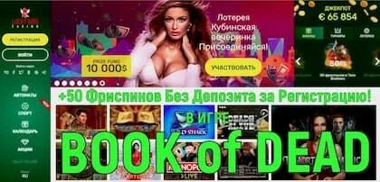 Lucky bird casino luckybird casino net ru. Казино Гудвин Санкт-Петербург.