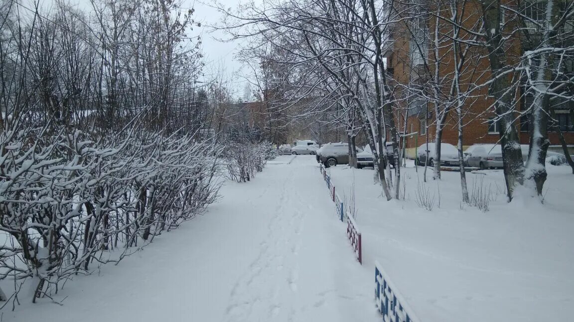 Снегопад в Дмитрове. Снежная обстановка в Дмитровском районе поля. Снежная обстановка в Дмитровском районе. Дмитров в марте. Погода в дмитрове часы