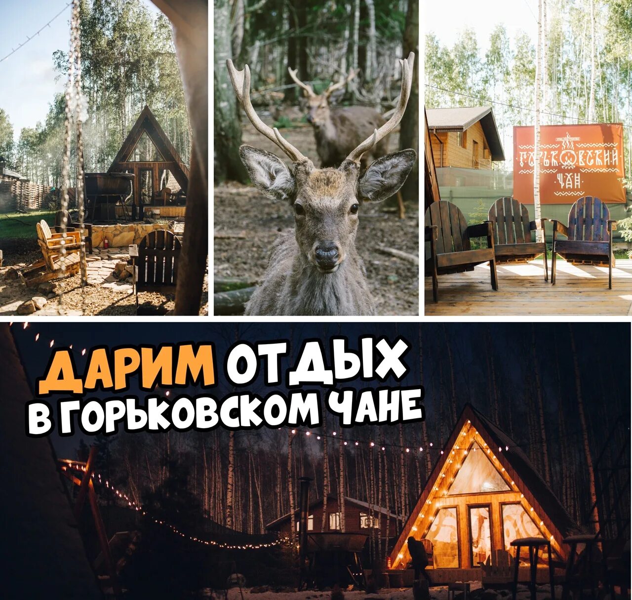 Дом с чаном нижний новгород. Горьковский чан нижний новгород. Банный курорт гуси лебеди. Отдых горьковский чан. Горьковский чан нижний новгород.