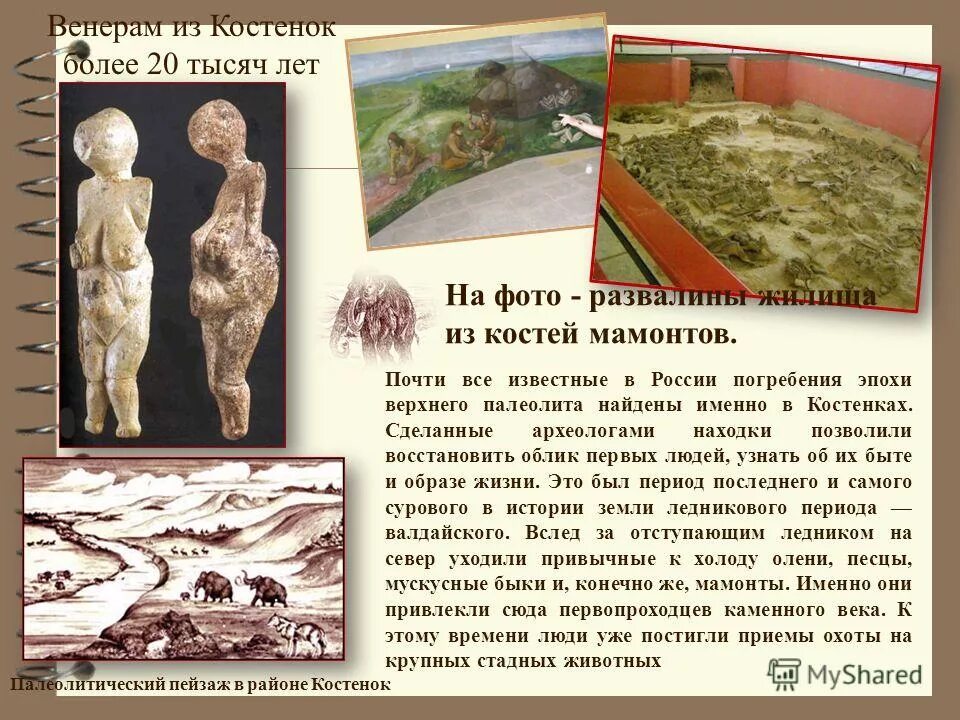 Палеолитическая стоянка древнего человека