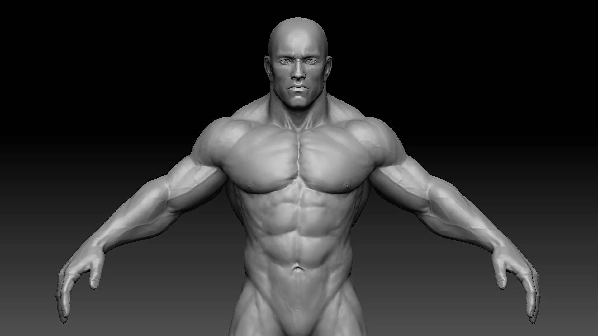 Модель персонажа. Компьютерная графика культуристы 3д. Модель человека. Strong man 3d model drawer. Мышцы арт.