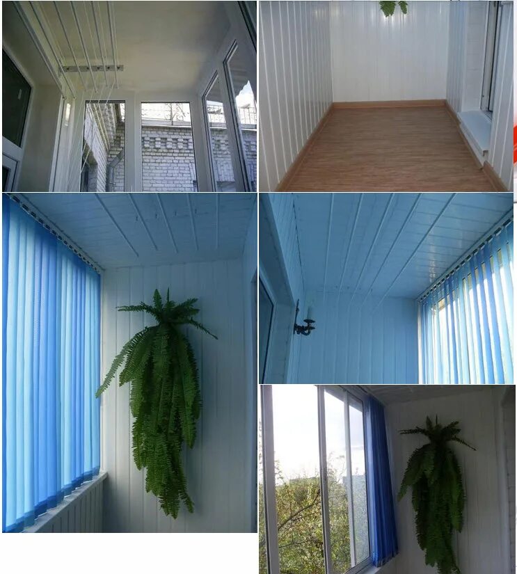 Пальма на утепленной лоджии. Новополоцк отделка лоджий. Гомельские балконы. Белый верх зеленый низ в отделке балкона.