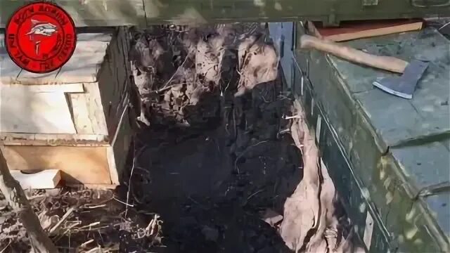 позывной акула телеграмм