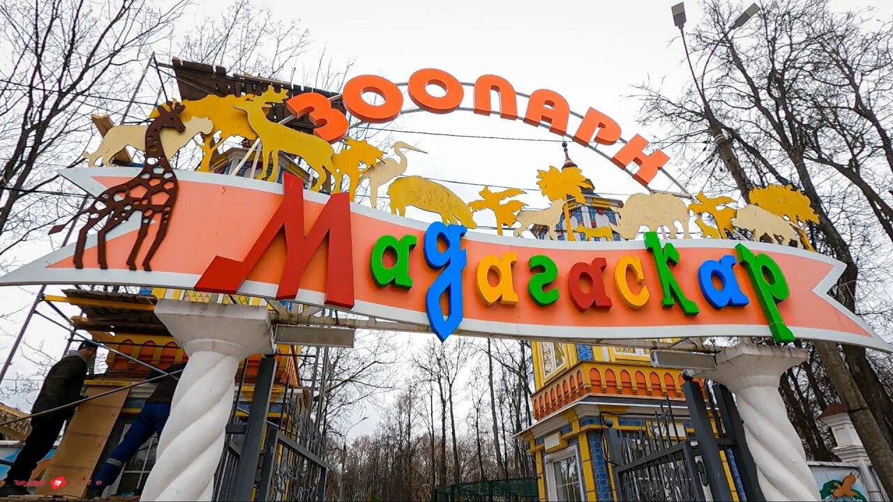 Сормовский парк нижний новгород. Зоопарк мадагаскар нижний. Сормовский парк нижний новгород. Сормовский парк нижний новгород. Зоопарк мадагаскар нижний новгород.