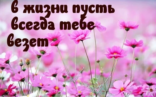 Пусть удача сопутствует во всем. Пускай тебе сопутствует удача. Путь тебе сопутствует удача. Пусть удача сопутствует во всем картинки. Пусть удача сопутствует всем начинаниям