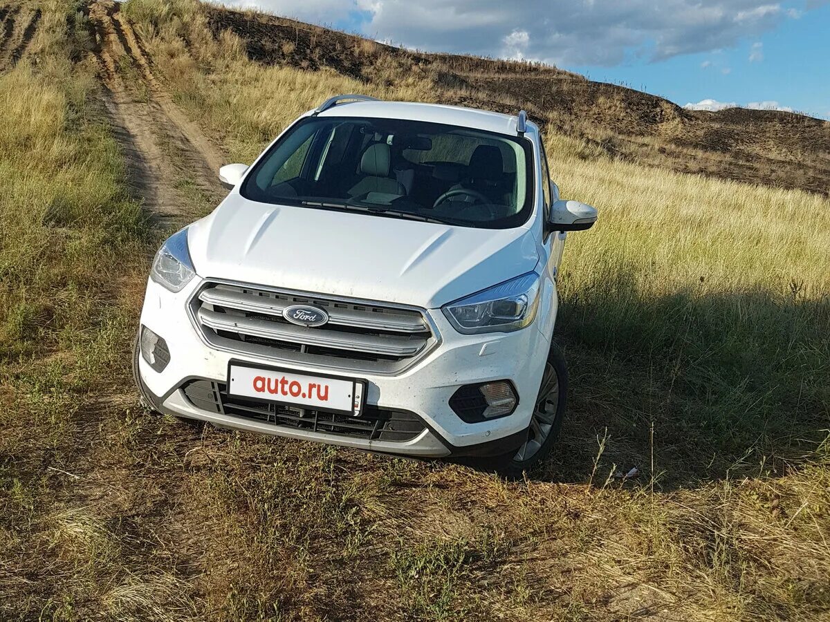 Ford Kuga 2019. Форд Куга 2018 белый. Форд Куга 2019 белый. Форд Куга белого цвета.