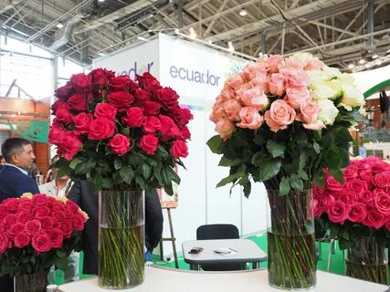 Цветы 2017