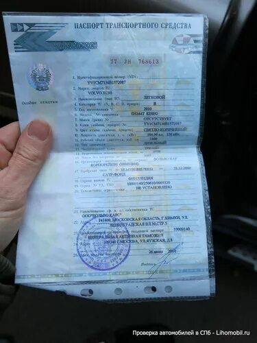 Как выглядят копии