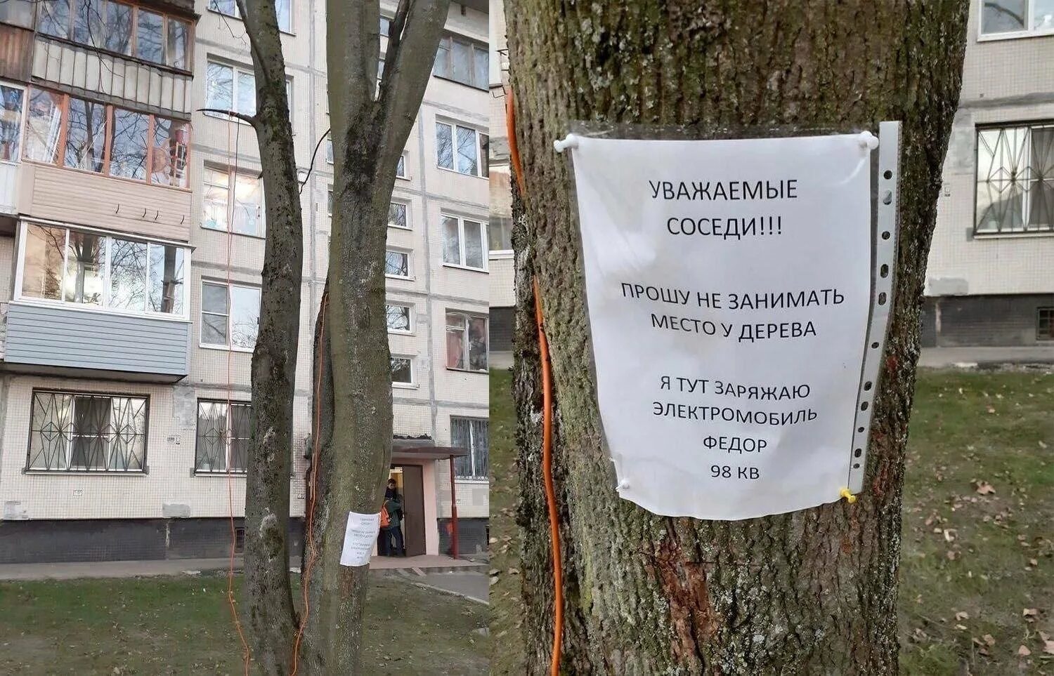 Место не занято. Прошу не занимать место у дерева. Место не занимать. Просьба место не занимать. Место у дерева не занимает.