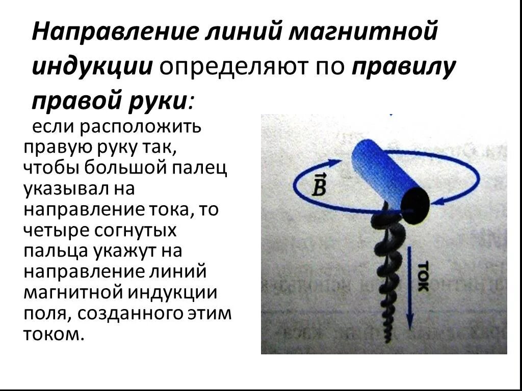 Какой существует способ определения направлений магнитных. Определение направления линий магнитной индукции. Правило для определения направления линий магнитной индукции. Как определить направление линий магнитной индукции. Какого направления линий магнитной индукции.