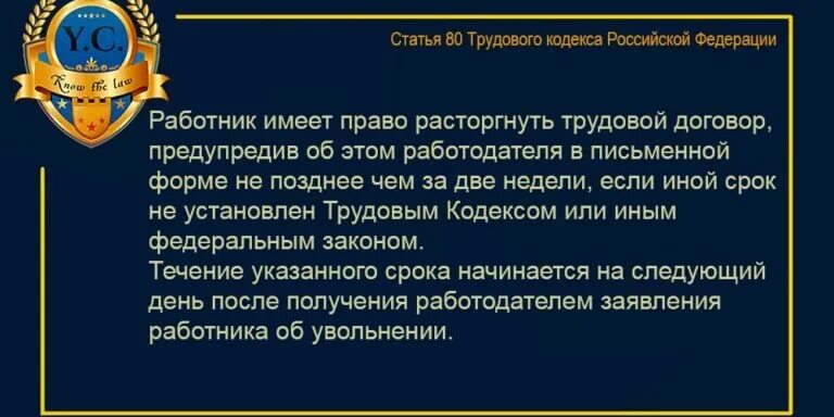 Ст 80 трудового кодекса. Ст 80 ТК РФ. Статья 80 трудового кодекса Российской. Ч.3 ст.80 ТК РФ увольнение. 3 статьи 80