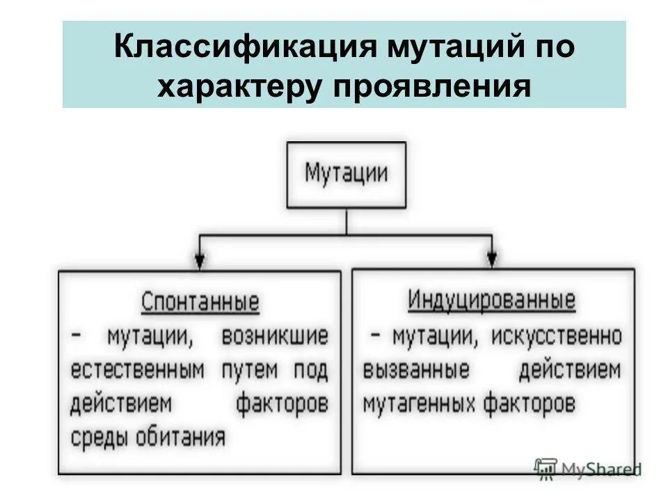 Причины мутации классификация мутаций. Определить характер мутации. Типы генетических мутаций. Определить характер мутации. Генные хромосомные и геномные мутации примеры.
