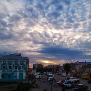 Свет богородск