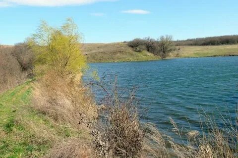 Погода в ребриково