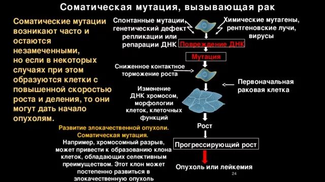 Врожденные опухоли. Мутация клеток. Процесс образования мутаций. Этапы возникновения мутаций. Мутация раковых клеток.