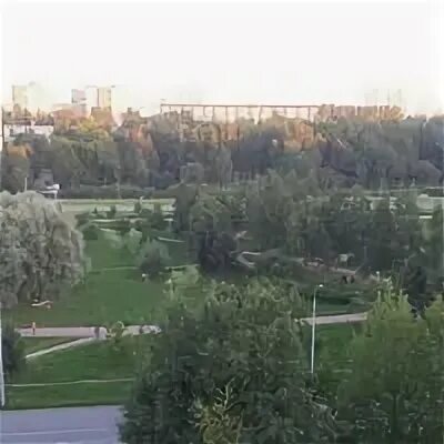 Небо золотое ул шотмана 31