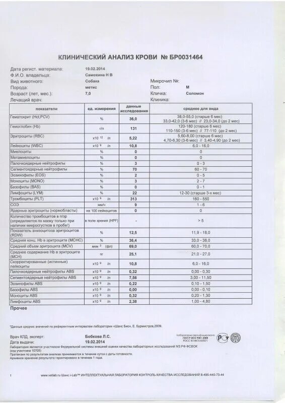 Пса анализ. Результат анализа пса. Пса анализ для мужчин. Пса бланк анализа.