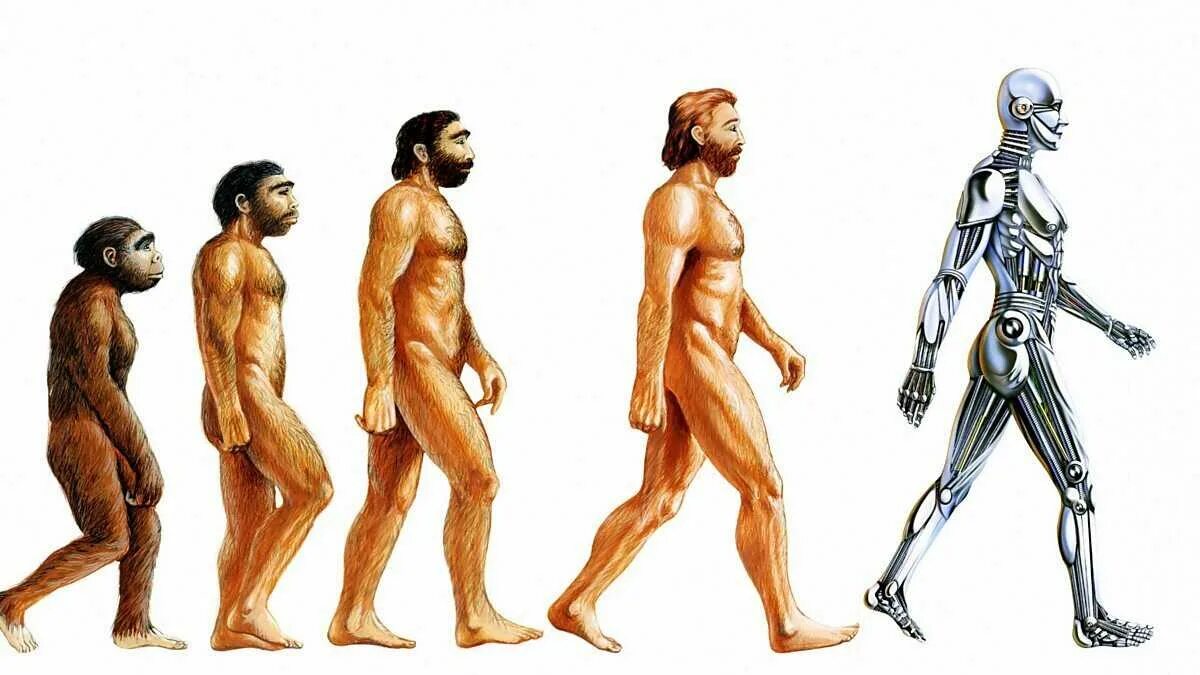 3 изменения человека. Эволюция сверхчеловека. День эволюции. Эволюционировал из человека в Бога. Эволюция ВК.